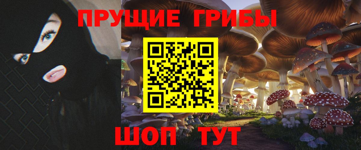 Галлюциногенные грибы прущие грибы  Вход с VPN  закладки  Борзя 