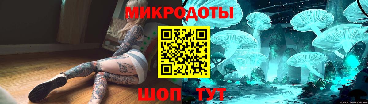 Галлюциногенные грибы Psilocybe Борзя